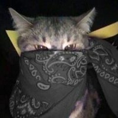 Галя Жабина