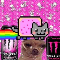 eomisdontlose