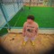 laith_M_abojrra