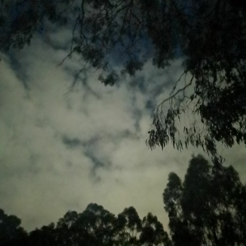 everything i wanted [𝖍𝖊𝖗𝖓𝖋𝖎𝖊𝖑𝖉 edit]