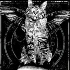 🦇 снокевеrry 🕷