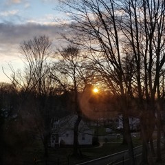 Boats And Birds (Cover)