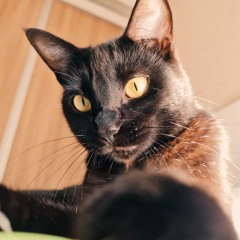 Ana