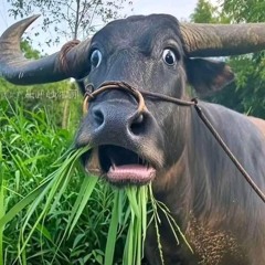 người trẻk n0n StOp