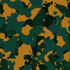 Covert Ops