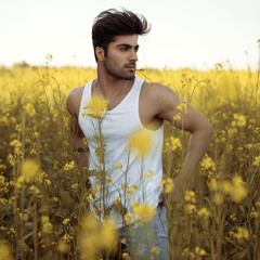Syed Mubeen Shah