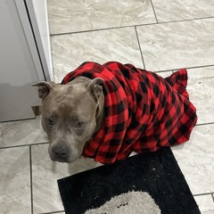 oscarlaflare