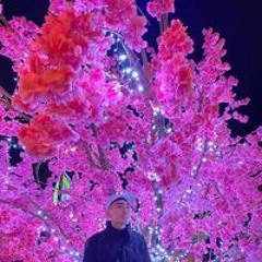 Trần Hiệu