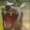 Ant