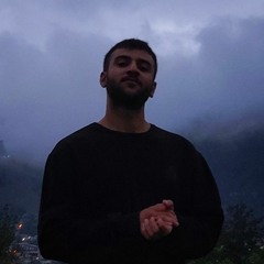 iparsa8d