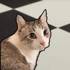 tilecat