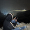 ف الهذلي