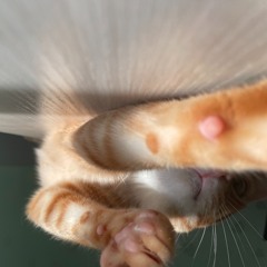阿萨