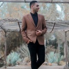 محمد السيد الفالوجى