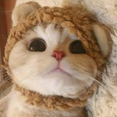 김도윤