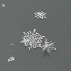 Poem for the Final Sunset