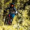 Felipe 420
