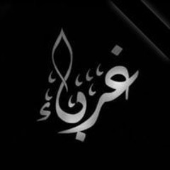 الحارس السيد حورس