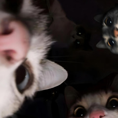 banan4iks