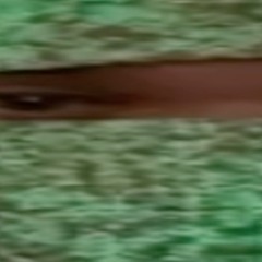 Sp1nal.fluid
