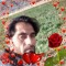 اميرمحمدتوخئ زابل شاجويي