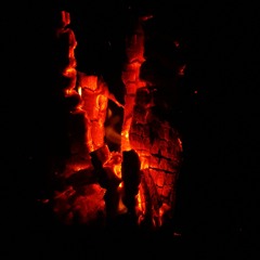 Underwater Paradise (Trap Beat)