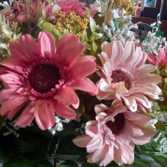 chamolinian♡beauty