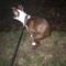 POOPSON