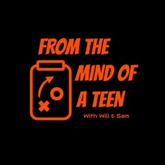 From The Mind of a Teen