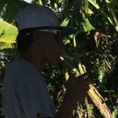 yamit