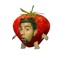 Raphaaelllll
