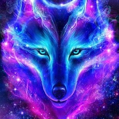 marick van den Bogaard