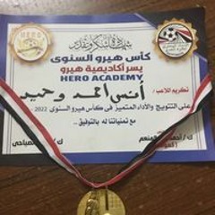 انس احمد وحيد