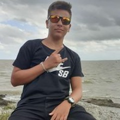 Felipe Alende Brandolt de Souza