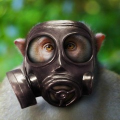 MickeyMonkey