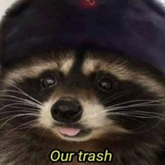 Space Raccoon