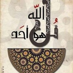 هاني شوقي ابو حنين