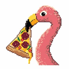 Pizza Flamingo Music