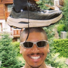 turtledealer