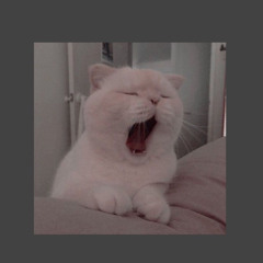 kiaru____