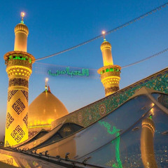 Syed M. Hassan Zaidi