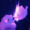 Flowerpetals