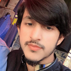 Zulfiqar Bhatti