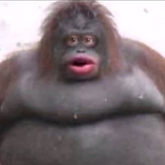 KfC fAtTy BoY cHiCkEn TeNdY