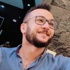 Tarek A. El-Bahnasy
