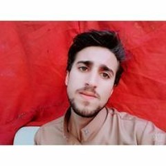 Ayman Ebrahem Zalat