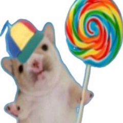 tacocat951