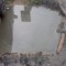 fain fain fain