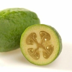 Feijoa