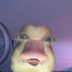 XXVall